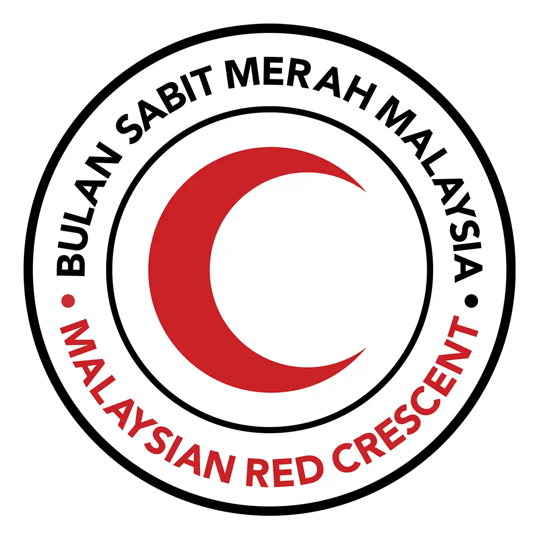 logo bsmm